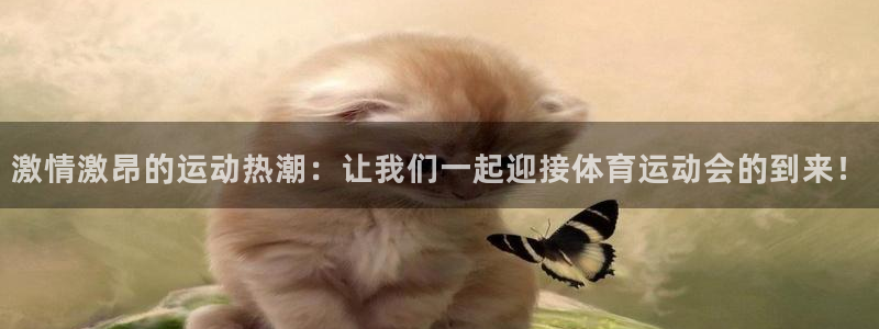 vsport体育在线官网
