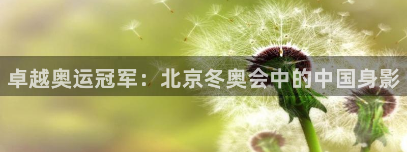vsport体育在线官网