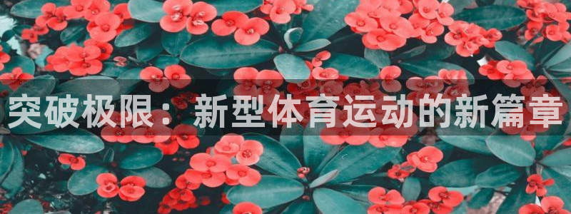 vsport体育在线官网