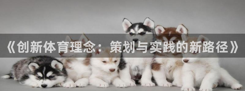 vsport体育在线官网