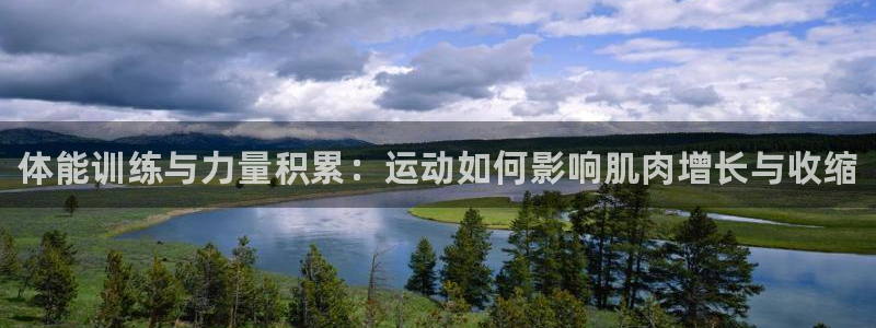 vsport体育在线官网