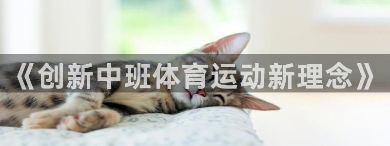 vsport体育