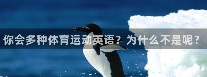 vsport体育在线官网