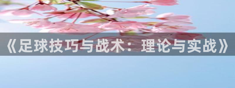 vsport体育