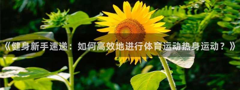 vsport体育在线官网
