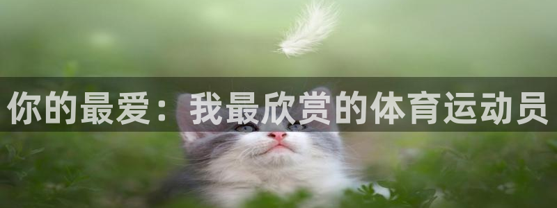 vsport体育在线官网