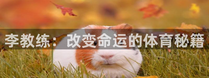 vsport体育在线官网