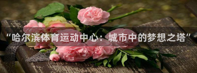 vsport体育在线官网