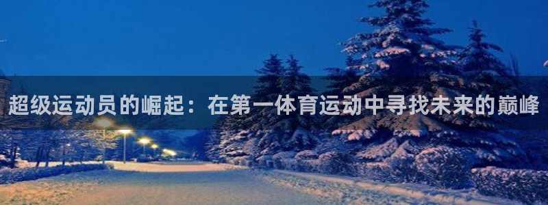 vsport体育在线官网