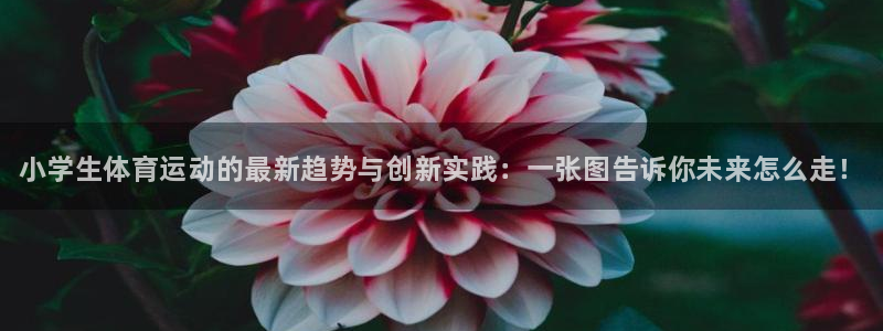 vsport体育在线官网