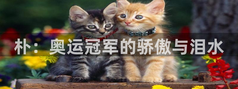 vsport体育在线官网