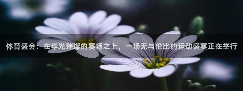 vsport体育在线官网