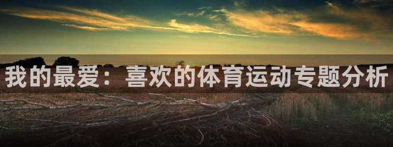 vsport体育在线官网