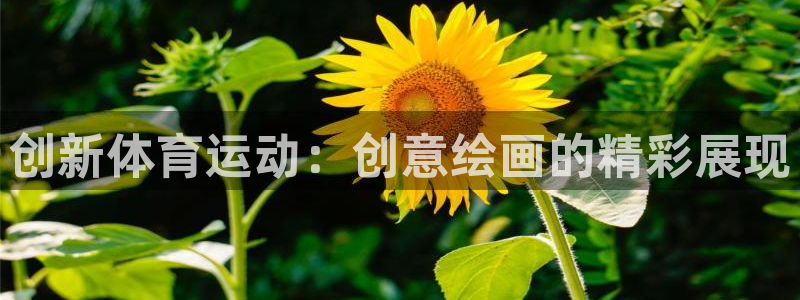 vsport体育在线官网