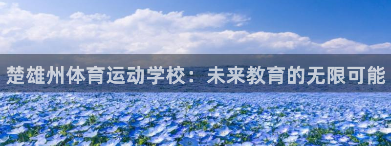 vsport体育在线官网