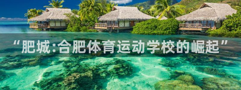 vsport体育在线官网