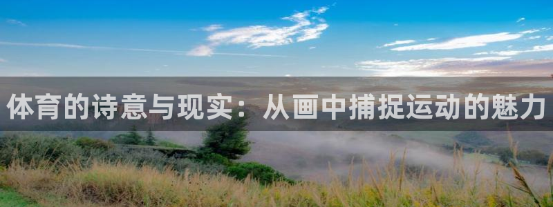 vsport体育在线官网