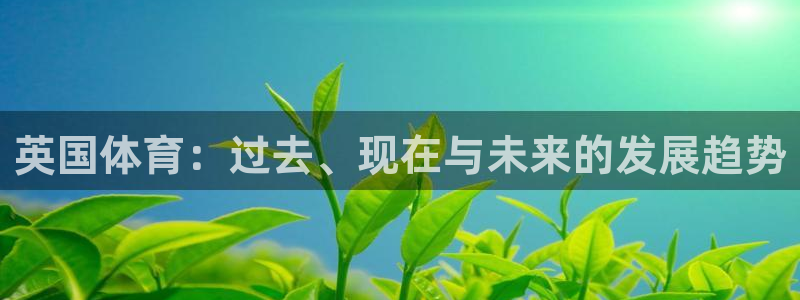 vsport体育在线官网