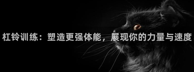 vsport体育在线官网