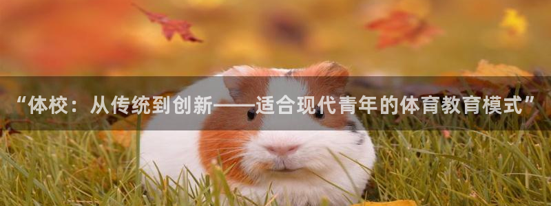 vsport体育在线官网