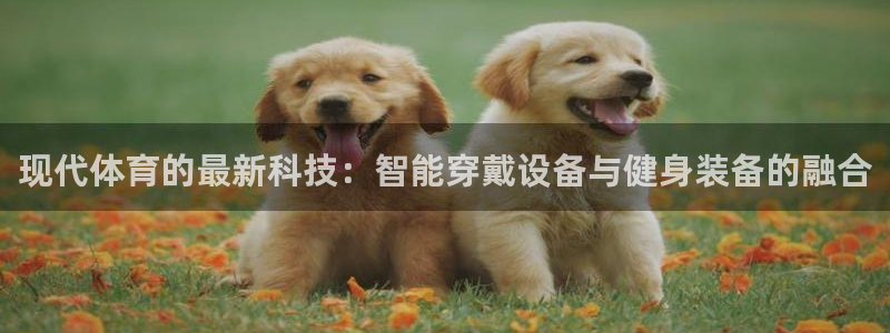 vsport体育在线官网