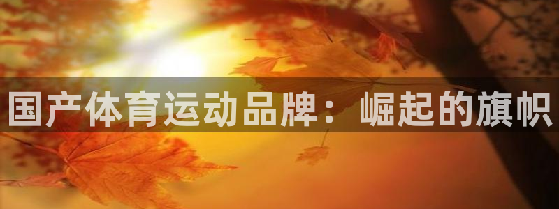 vsport体育在线官网