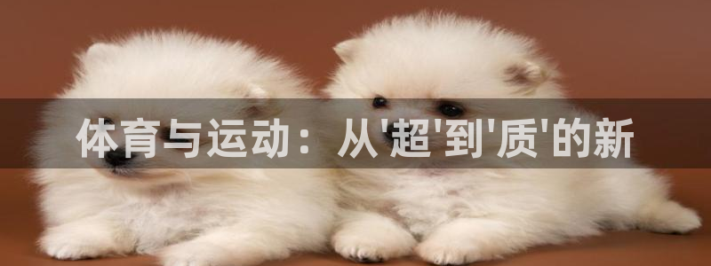 vsport体育在线官网